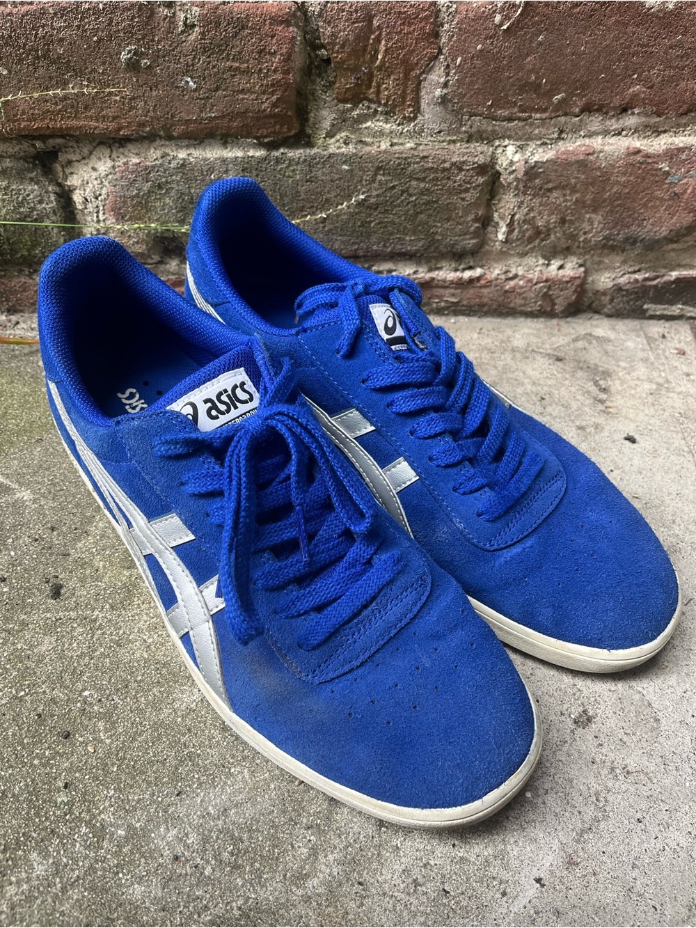Asics Skateboarding Gel-Vickka Pro Shoes